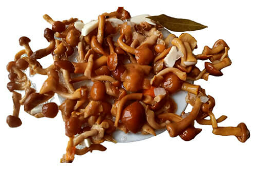 Canned Nameko Mushroom